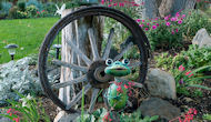 gardening tips
