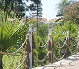 fencing