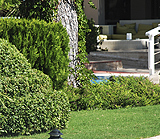 pool surrounds